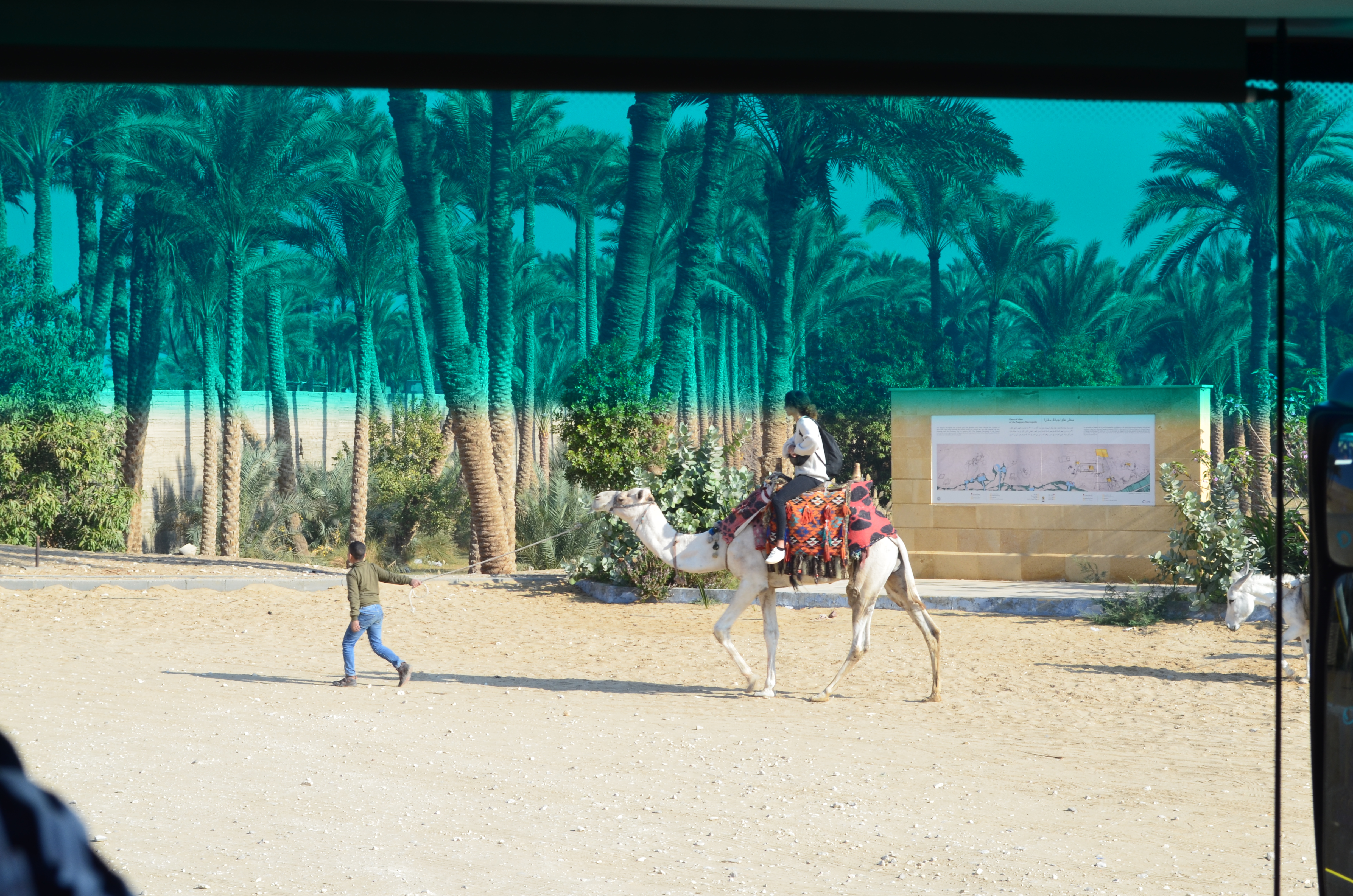 ./2018/16 - Egypt/03 - Pyramids/DSC_0069.JPG